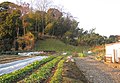 埼玉県: 概要, 地理, 地域