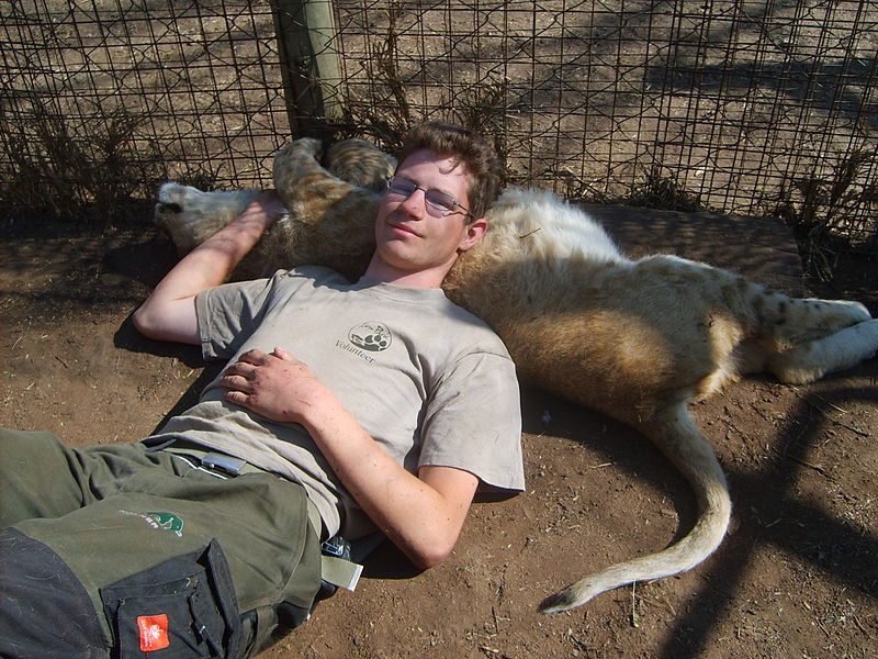 File:Kiran Mueller with Lion Cub.JPG