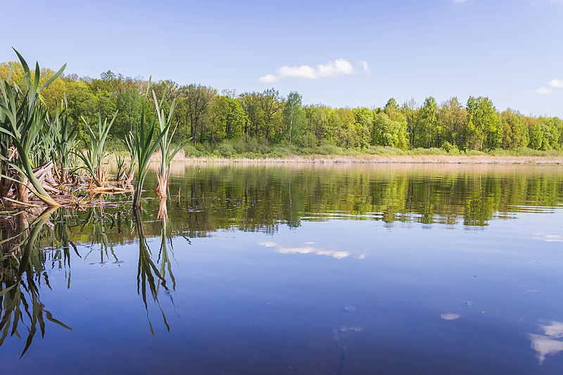 File:Knyazhoe Lake - 003.jpg