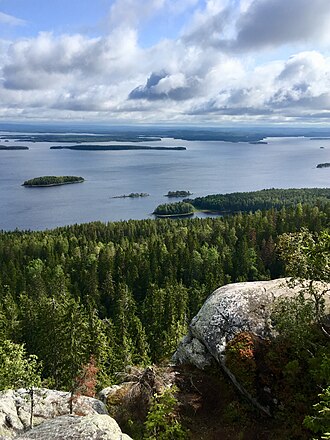Landscapes of the Koli National Park in North Karelia, Finland, have inspired many painters and composers, e.g. Jean Sibelius, Juhani Aho and Eero Jarnefelt. Koli 2019 2.jpg