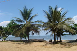 Kameroun