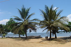 Kribi