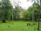 Złotoryja, Polska - Panorama