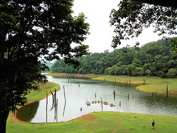 LAKE AT PERIYAR NATIONAL PARK AND WILDLIFE SANCTUARY.jpg