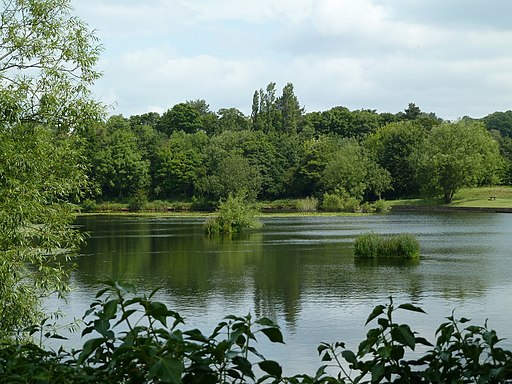 Lake - Wingerworth lido - geograph.org.uk - 2463576