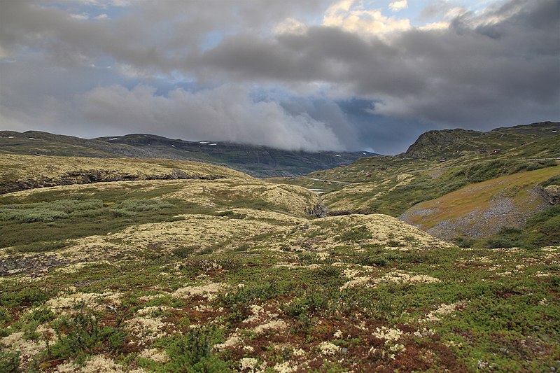 File:Landscape of upper Tyedalen, 2011 August.jpg