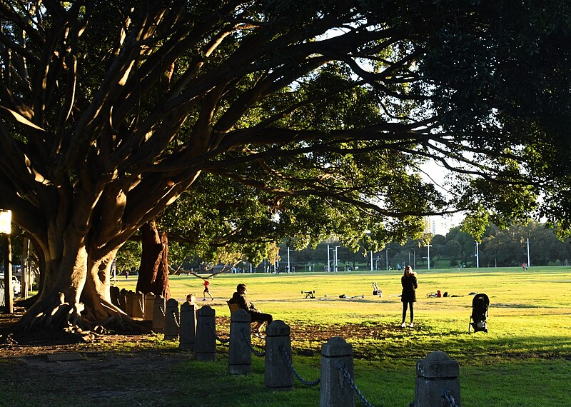 File:Lang Road Centennial Park 002.jpg