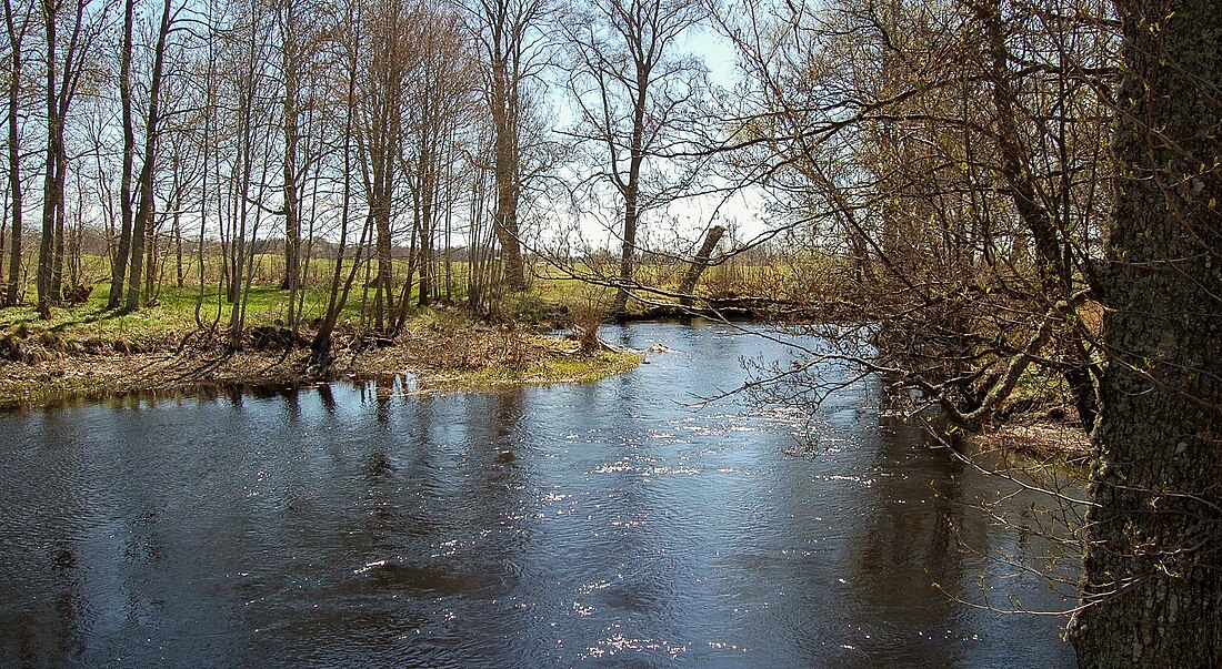 Ljungbyån