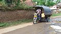 Local transport at Baidyapur, West Bengal.jpg