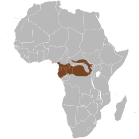 Phạm vi phân bố Voi rừng châu Phi