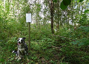 Vid torpet Männö.