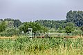 * Nomination Large reservoir of the Rieselfelder in Münster, North Rhine-Westphalia, Germany --XRay 03:42, 9 July 2020 (UTC) * Promotion  Support Good quality -- Johann Jaritz 03:49, 9 July 2020 (UTC)