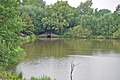 Desembocadura de la resclosa de desguàs al llac Finkenrieker Mahlbusen