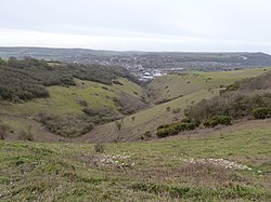 Malling Down Nature Reserve (geograph 2742190).jpg