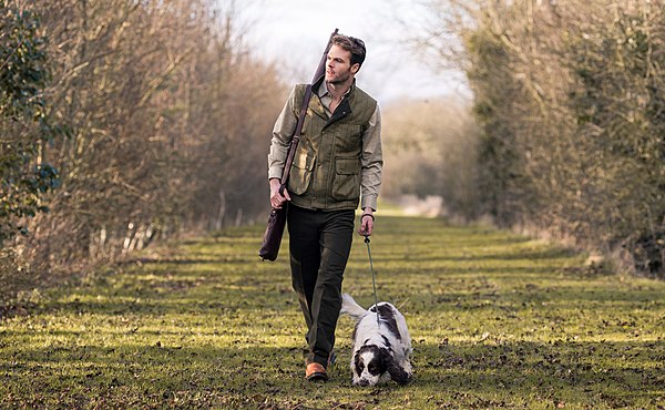 Man walking a spaniel gun dog