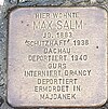 Max Salm - Stolperstein.jpg
