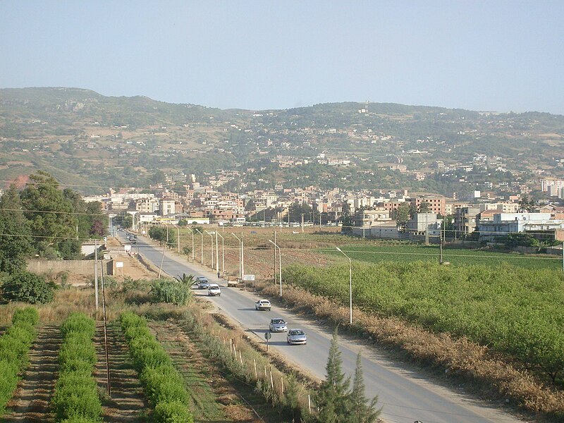 File:Meftah city, Blida Province (Algeria).jpg