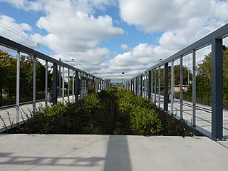 <span class="mw-page-title-main">Maassluis Centrum metro station</span> Metro station in Maassluis, the Netherlands