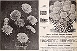 Thumbnail for File:Michell's highest quality seeds (1899) (20559788971).jpg