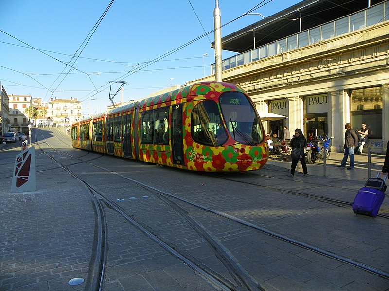 File:Montpellier, Francia - panoramio (3).jpg