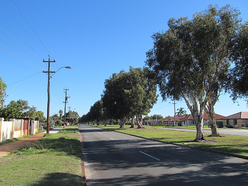 File:Morley Dr 099 W Morley Wicks.jpg