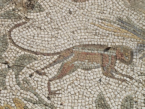 Mosaikausschnitt in den Roman Villas, Karthago