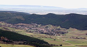 Winzendorf-Muthmannsdorf: Geografie, Gemeindegliederung, Geschichte