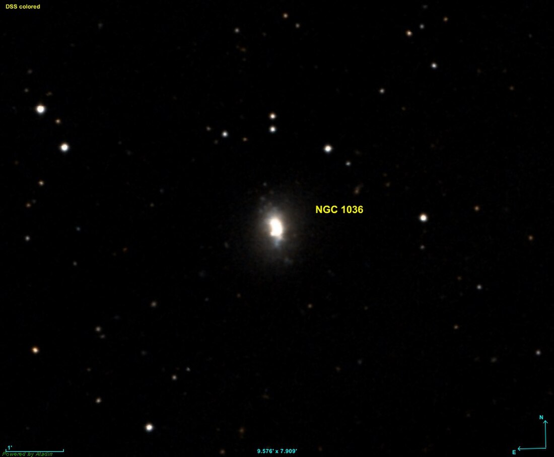 NGC 1036