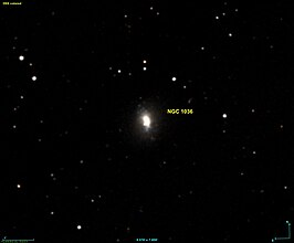NGC 1036