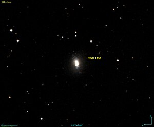 NGC 1036 DSS.jpg