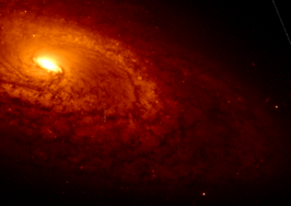 NGC 1353