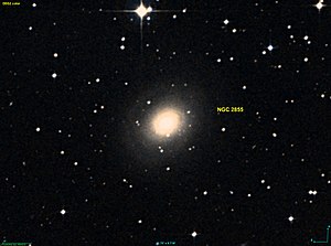 NGC 2855 DSS.jpg