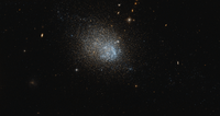 NGC 3741.png