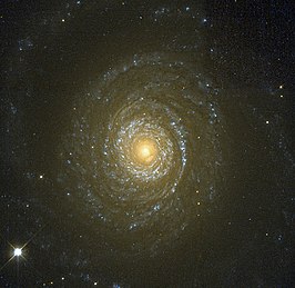 NGC 7653