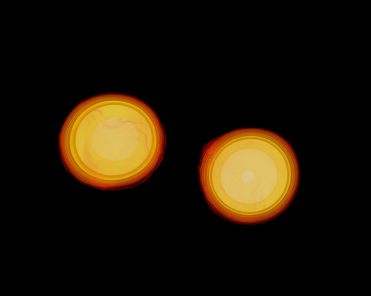 File:NS binary merger simulation 055.tiff