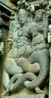 <span class="mw-page-title-main">Nāga</span> Serpentine mythological creatures in Indian religions