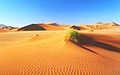 Namib