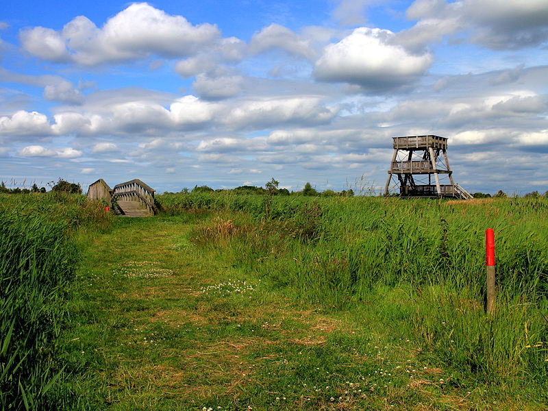 File:Nationaal Park De Alde Feanen. Locatie, It Wikelslân 020.JPG