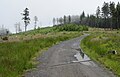 Čeština: Cesta na vrchol Špičáku, přírodní památka Královský hvozd nedaleko Železné Rudy a Špičáku, okres Klatovy English: Natural monument Královský hvozd near Železná Ruda and Špičák in Klatovy District