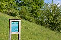 Naturschutzgebiet Aabereich Mellingen 1.JPG