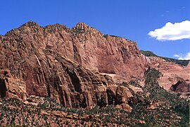 Песчаник навахо (нижняя юра; Битти-Пойнт, каньоны Колоб, национальный парк Зайон, штат Юта, США) (8423923437) .jpg