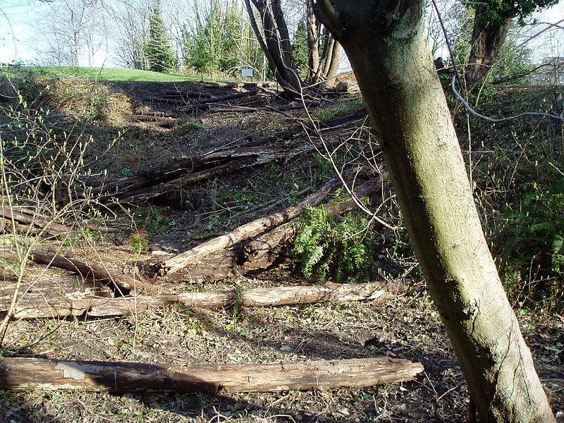 File:Near the headwaters of Yesler Creek -h.jpg