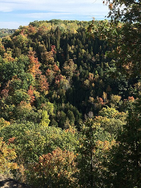 File:Niagara Escarpment Beamers Falls 04.jpg