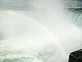 Regenbogen und eine der allgegenwärtigen Möwen vor den Horseshoe Falls
