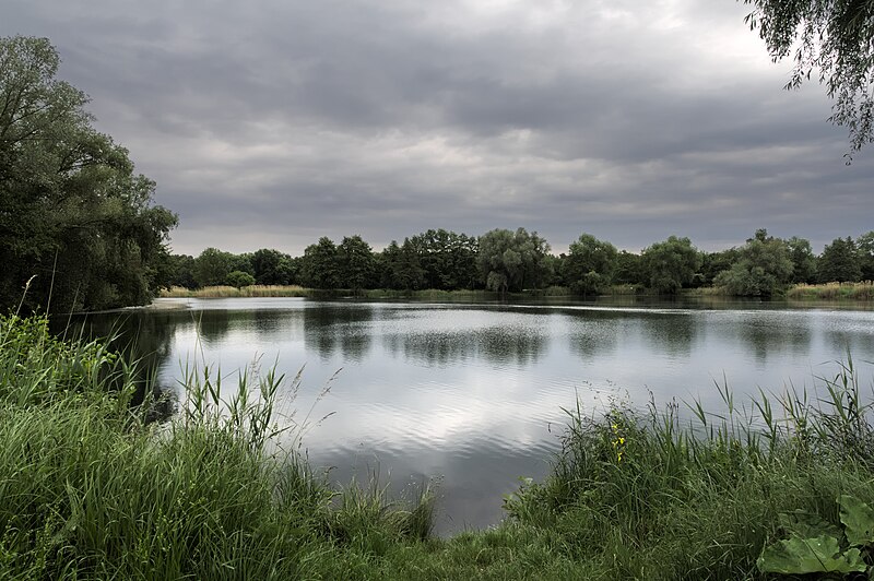 File:Niederwiesenweiher.jpg