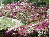 西山公園（鯖江市）（2009年5月）