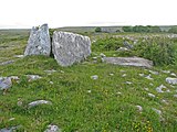 Northernmost of the Gleninsheen wedge tombs - geograph.org.uk - 863985.jpg