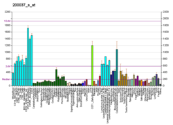 PBB GE CBX3 200037 s at fs.png