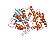 PDB 1gil EBI.jpg