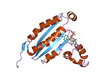 PDB 1i5d EBI.jpg